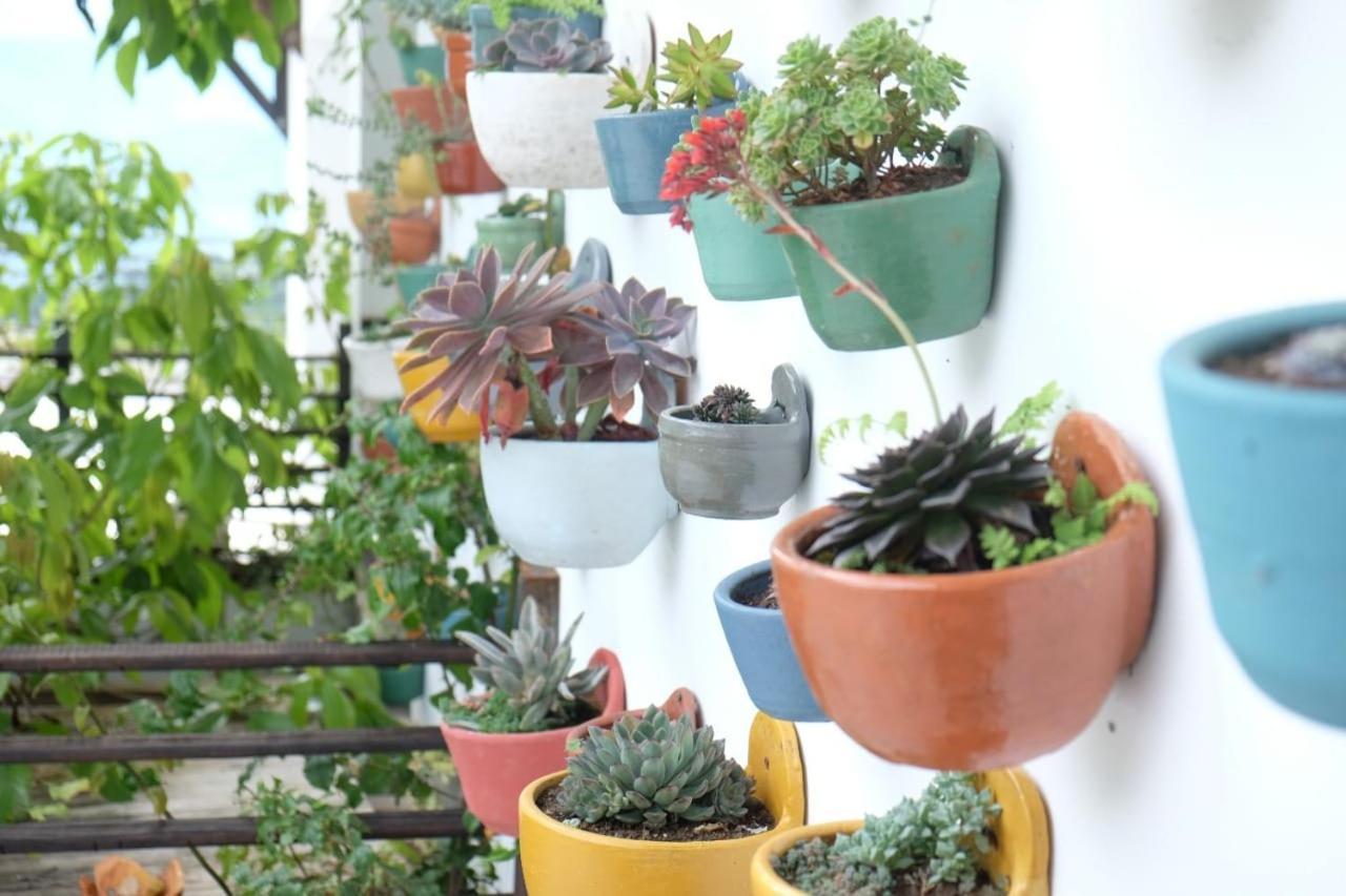 Casa Nativo Βίλα Jardín Εξωτερικό φωτογραφία